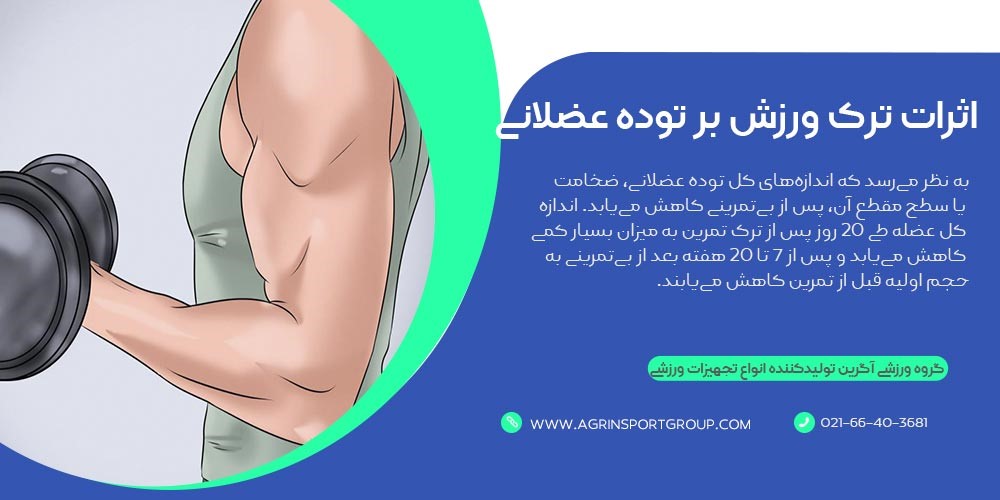 اثرات ترک ورزش بر توده عضلانی