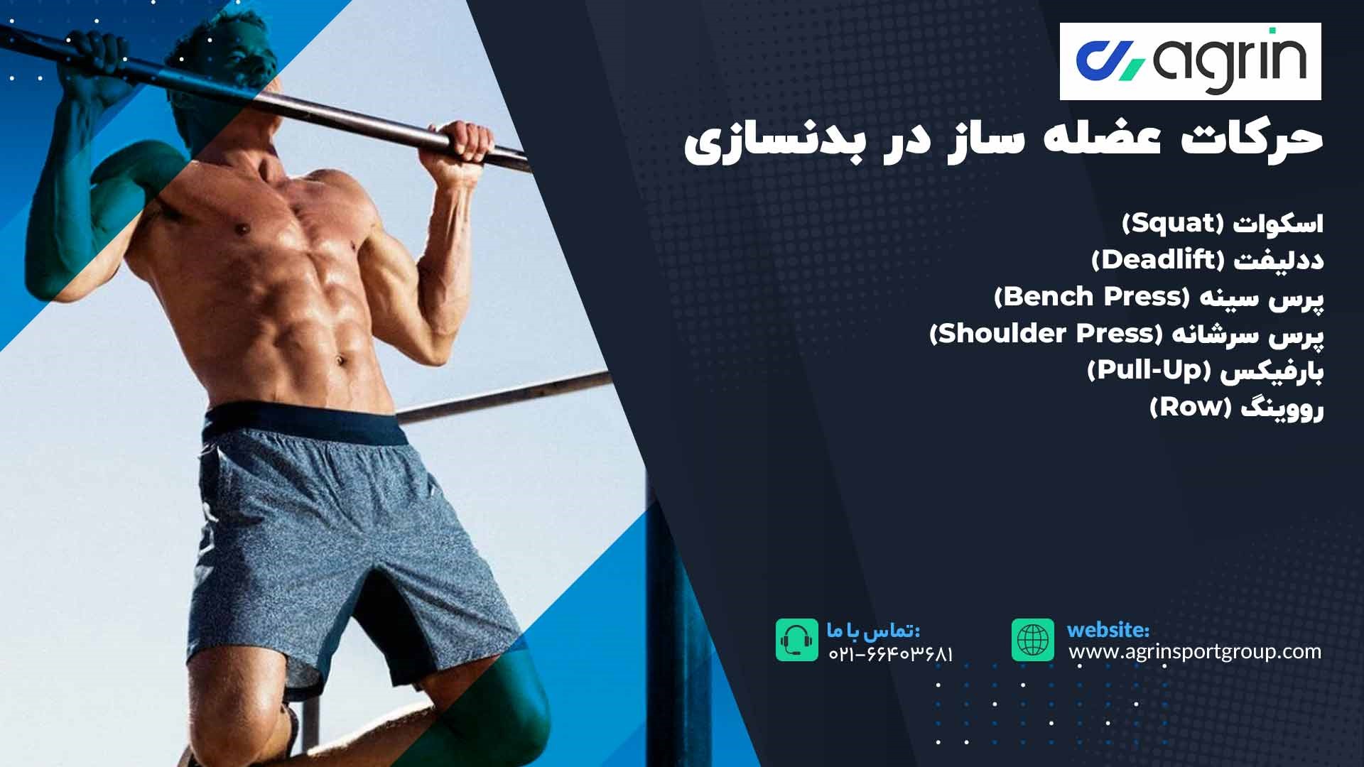 حرکات عضله ساز در بدنسازی